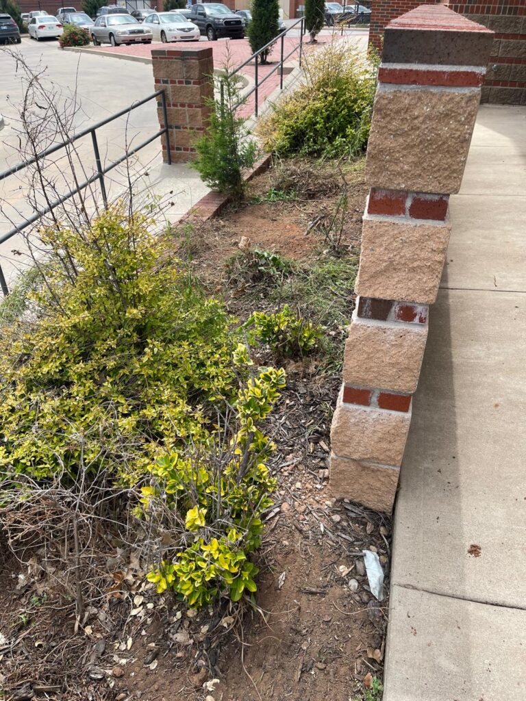 WhatsApp Image 2024-04-23 at 7.31.08 PM (6)