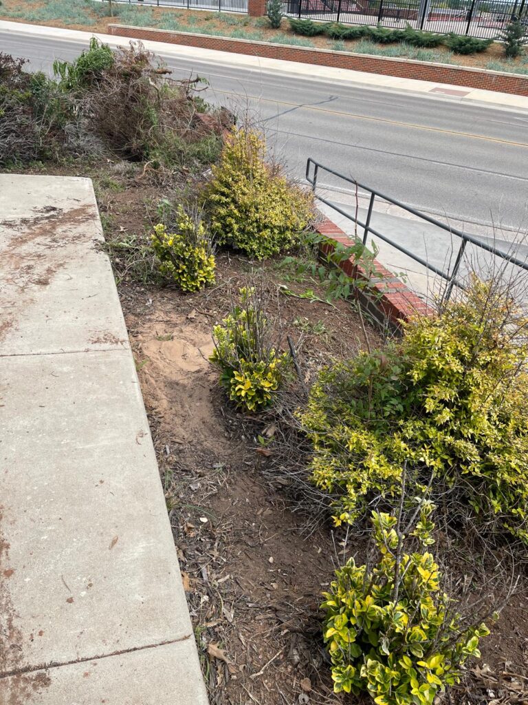 WhatsApp Image 2024-04-23 at 7.31.08 PM (7)